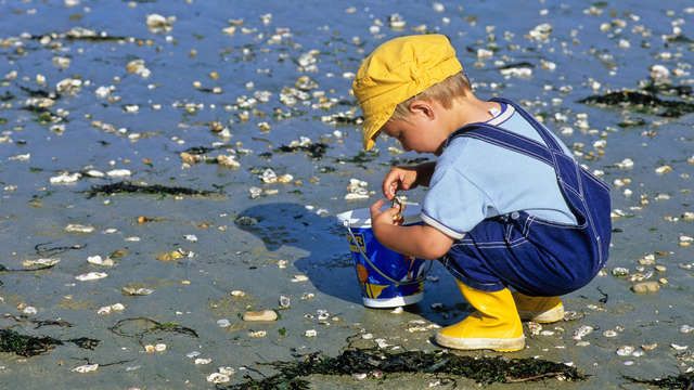 La pêche à pied avec ses enfants - broché - Philippe Urvois