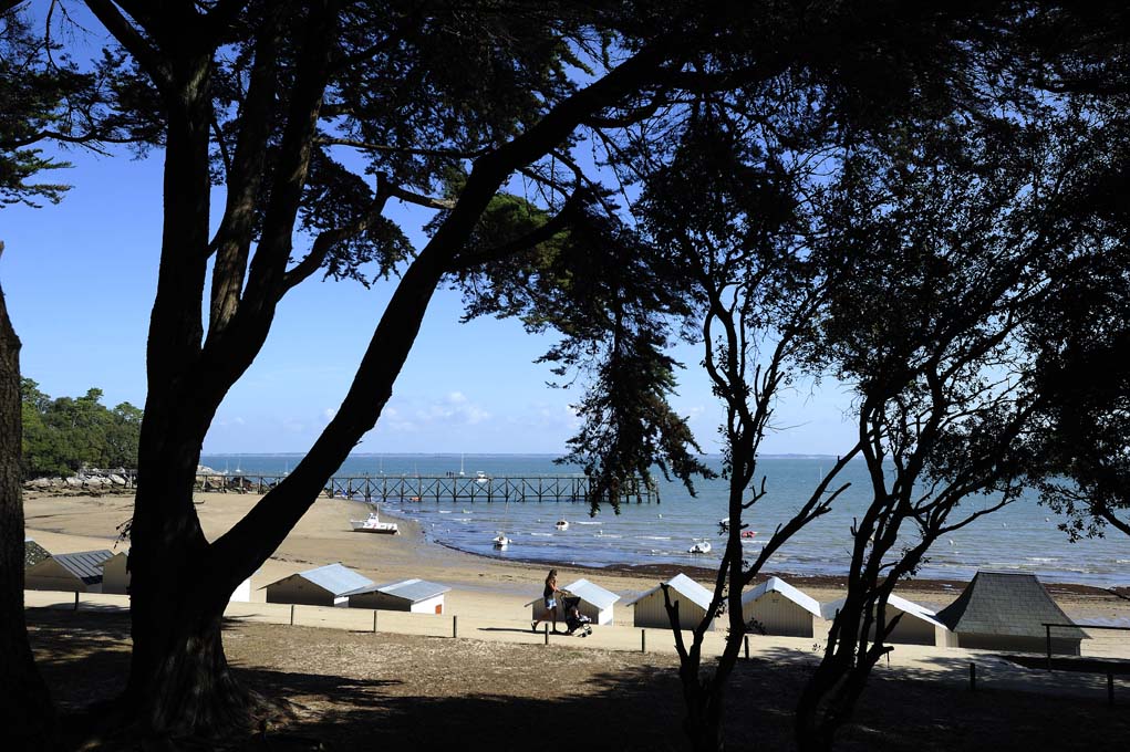 Le Bois de la Chaise - Noirmoutier-en-l'Île (85)